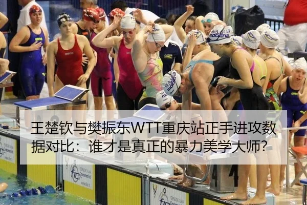 wang-chu-qin-yu-fan-zhen-dong-chong-qing-zhan-zheng-shou-jin-gong-shu-ju-dui-bi-shui-cai-shi-zhen-zheng-de-bao-li-mei-3-795.jpg