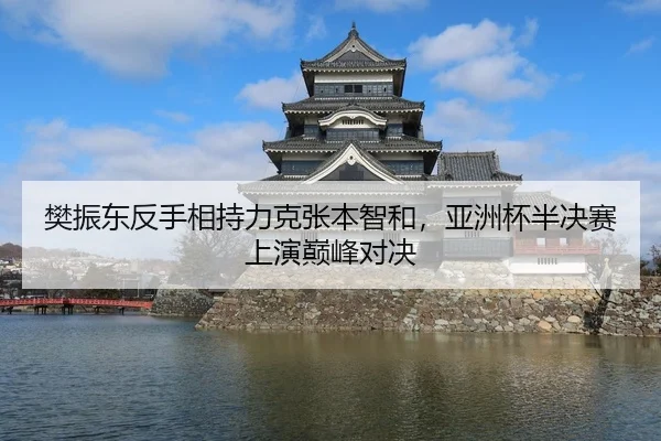 樊振东反手相持力克张本智和，亚洲杯半决赛上演巅峰对决