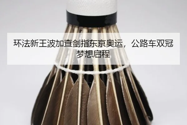 huan-fa-xin-wang-bo-jia-cha-jian-zhi-dong-jing-ao-yun-gong-lu-che-shuang-guan-meng-xiang-qi-cheng-3-525.jpg