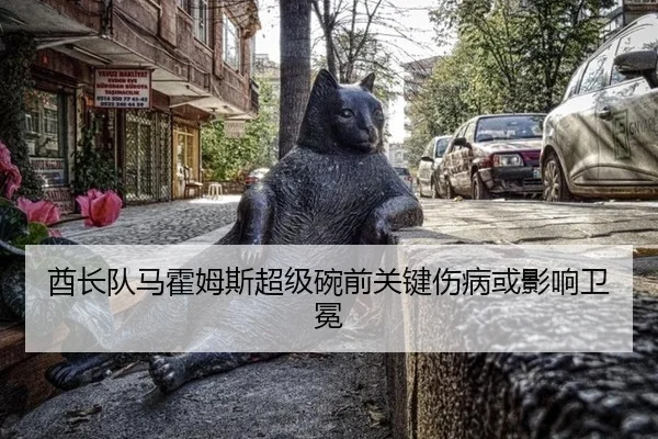 酋长队马霍姆斯超级碗前关键伤病或影响卫冕