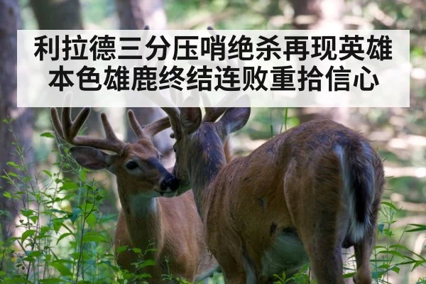 利拉德三分压哨绝杀再现英雄本色雄鹿终结连败重拾信心